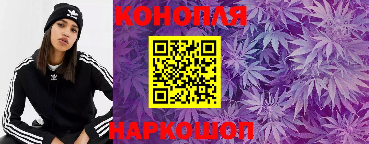 Конопля семена Лесной